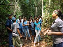  Trilha ecológica faz parte da Semana Ecológica da Escola Estadual 19 de Maio, em Alta Floresta (MT).
